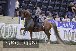 25R13_13581 thumbnail