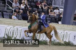 25R13_13584 thumbnail