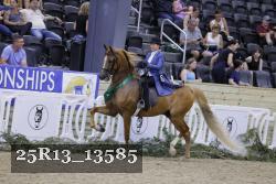 25R13_13585 thumbnail