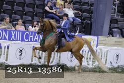 25R13_13586 thumbnail