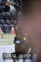 25R13_13588 thumbnail