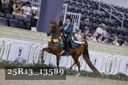 25R13_13589 thumbnail