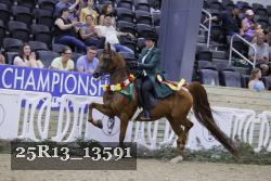 25R13_13591 thumbnail