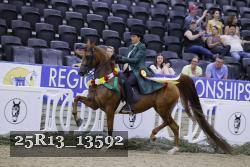 25R13_13592 thumbnail