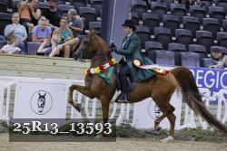 25R13_13593 thumbnail