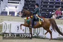 25R13_13594 thumbnail