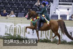 25R13_13595 thumbnail