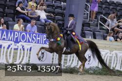 25R13_13597 thumbnail