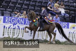 25R13_13598 thumbnail