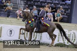 25R13_13600 thumbnail