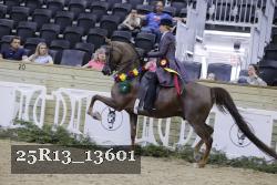 25R13_13601 thumbnail