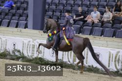 25R13_13602 thumbnail