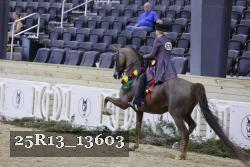 25R13_13603 thumbnail