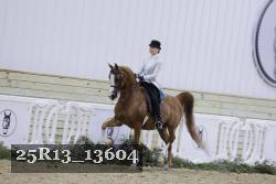25R13_13604 thumbnail