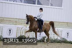25R13_13605 thumbnail