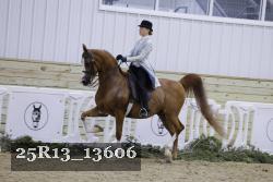 25R13_13606 thumbnail