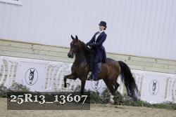 25R13_13607 thumbnail