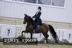 25R13_13608 thumbnail