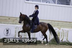 25R13_13609 thumbnail