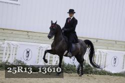 25R13_13610 thumbnail