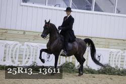 25R13_13611 thumbnail