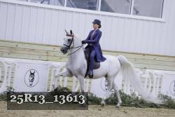 25R13_13613 thumbnail