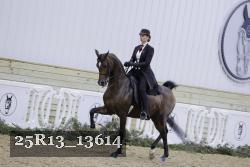 25R13_13614 thumbnail