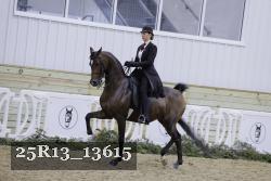 25R13_13615 thumbnail