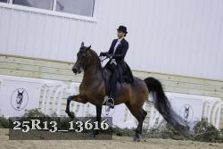 25R13_13616 thumbnail