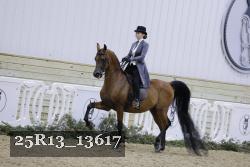 25R13_13617 thumbnail