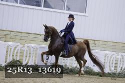 25R13_13619 thumbnail