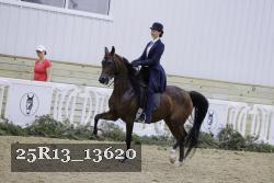 25R13_13620 thumbnail