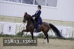 25R13_13621 thumbnail