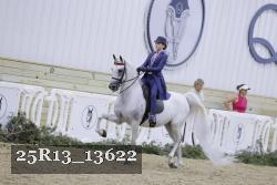 25R13_13622 thumbnail