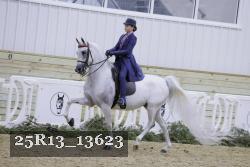 25R13_13623 thumbnail