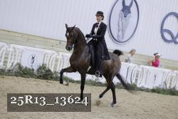 25R13_13624 thumbnail