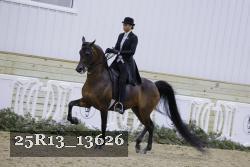 25R13_13626 thumbnail