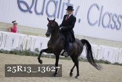 25R13_13627 thumbnail