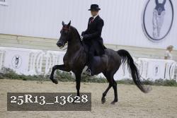 25R13_13628 thumbnail