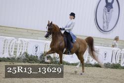 25R13_13629 thumbnail