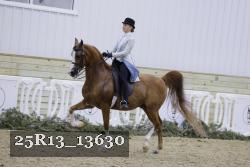 25R13_13630 thumbnail
