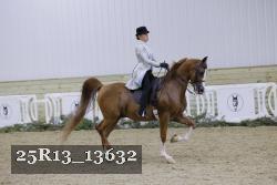 25R13_13632 thumbnail