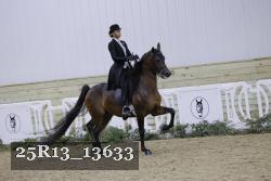 25R13_13633 thumbnail