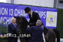 25R13_13641 thumbnail