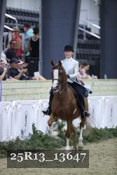 25R13_13647 thumbnail