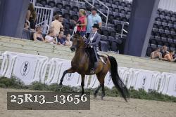 25R13_13656 thumbnail