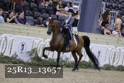 25R13_13657 thumbnail