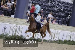 25R13_13661 thumbnail