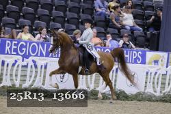 25R13_13666 thumbnail