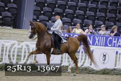 25R13_13667 thumbnail